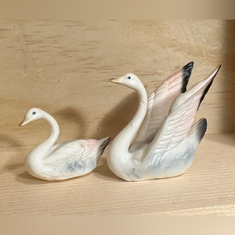 Graceful Swan Figurine Duo